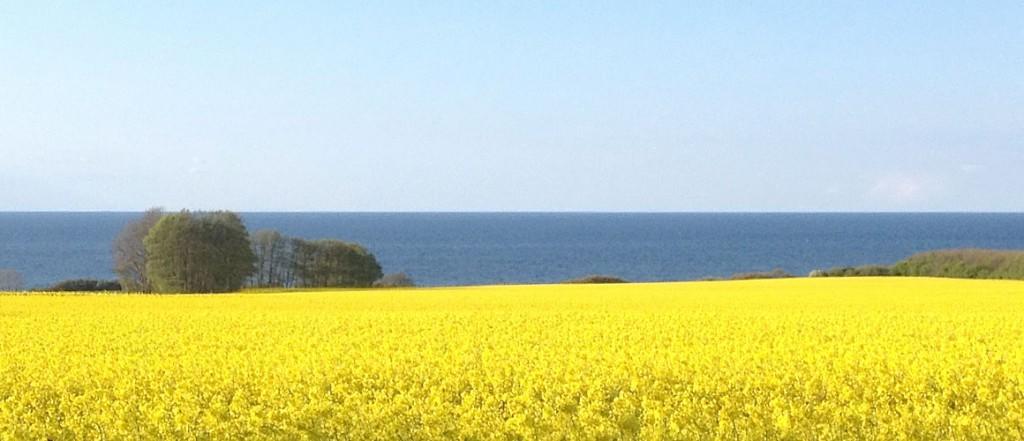 Pensjonat Seehus Ostsee 3*